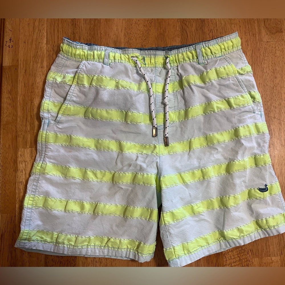 Southern Marsh Swim Shorts